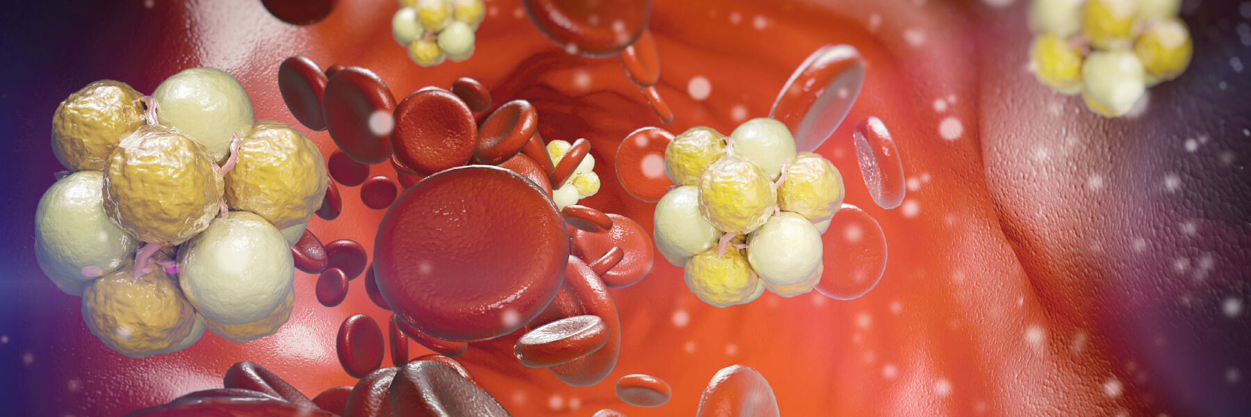 Ce este colesterolul?